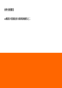 集团公司发展定位与组织结构内外分析报告