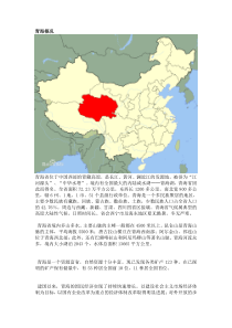 青海省区域发展的经济社会背景分析