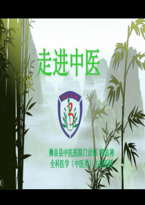 中医介绍ppt-课件(PPT演示)