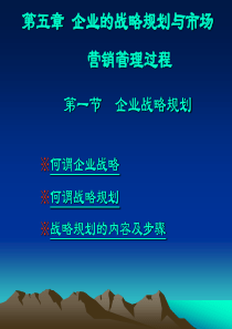 第五章企业战略规划与市场营销管理过程