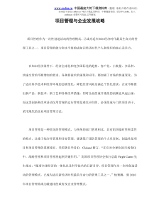 项目管理与企业发展战略doc10