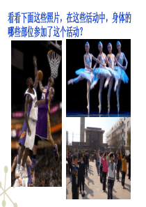 4-6-2神经系统的组成