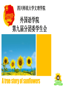 五四红旗分团委