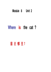 新标准(三起)三年级上册Module8 Unit2  Where is the cat？