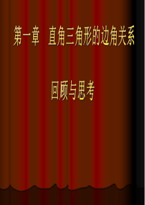 北师大九年级《直角三角形的边角关系》复习课件