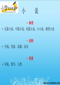 四年级上语文课件(C)-跳水-沪教版【小学学科网】