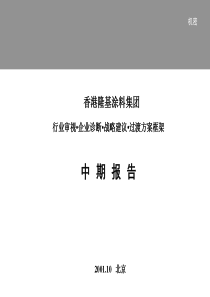 香港隆基(涂料)集团发展战略中期咨询报告