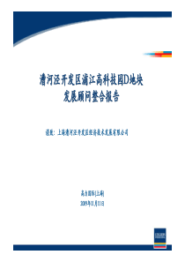 高力_上海漕河泾开发区浦江高科技园D地块发展顾问整合报告_270P