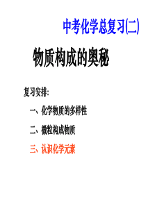 专题复习二 物质构成的奥秘 3认识化学元素