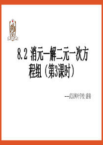 人教版初中数学七年级下册8.2 消元―解二元一次方程组(3)