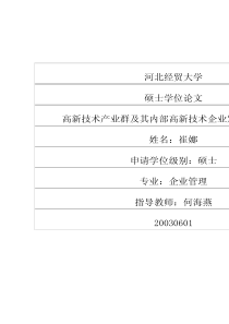 高新技术产业群及其内部高新技术企业发展战略选择