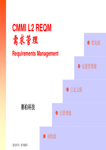 01-CMMI-L2-RM需求管理