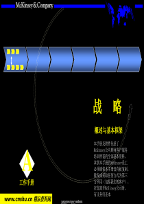 麦肯锡培训手册--公司发展战略规划