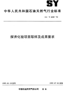 SYT602894探井化验项目取样及成果要求