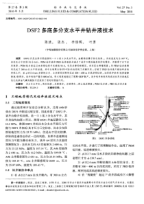 DSF2多底多分支水平井钻井液技术