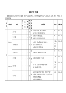 风险识别、评价及应对措施表---STW