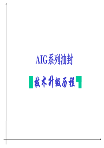 油封系列AIG