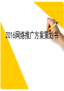 2016网络推广方案策划书