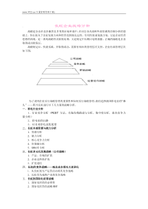 长虹企业战略分析