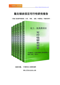 氧化钼块项目可行性研究报告范文格式(专业经典案例)