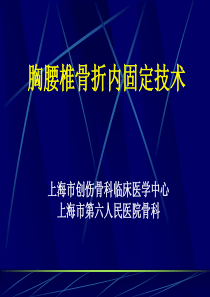 胸腰椎骨折内固定治疗新进展