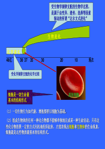 细胞起源与进化