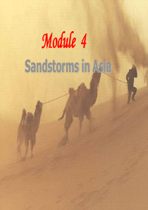 高中英语 Module4 Sandstorms in Asia Reading and Vocabu