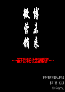 2011东莞中原策划人比赛_微营销