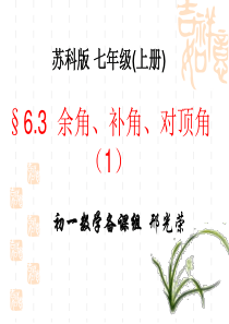 6.3余角、补角、对顶角课件(苏科版七年级上)
