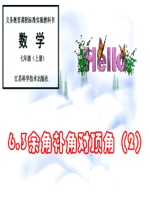 6.3余角补角对顶角(2)