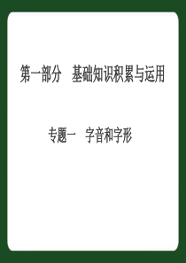 中考语文专题复习一 字音和字形