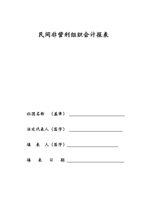 民间非营利组织会计报表