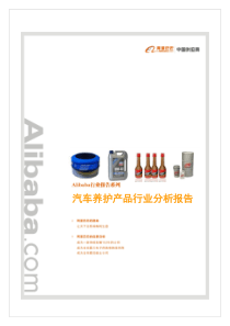 Car Care Products-汽车养护产品行业分析报告(完整版)