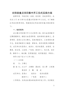 关于重点项目集中开工仪式的实施方案