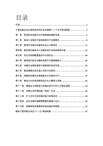 宁夏十二五规划纲要及解读