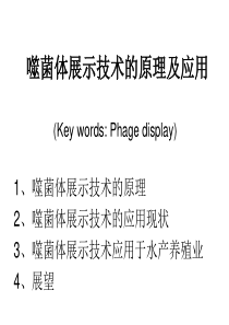 噬菌体展示技术的原理及应用