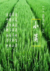 小满节气