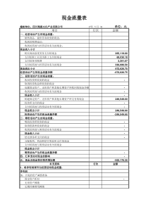 现金流量表模板免费下载