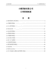 (最新)小额贷款有限公司日常管理制度