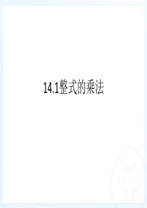 14.1整式的乘法课件ppt