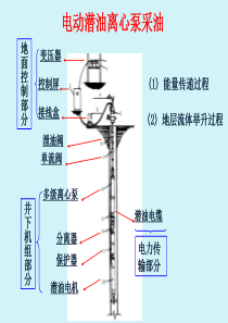 电动潜油离心泵采油