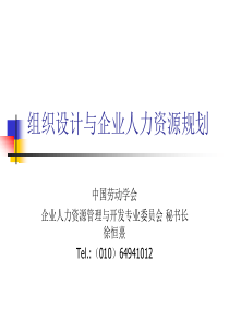 组织设计与企业人力资源规划