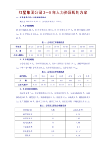 71红星集团未来3~5年人力资源规划方案