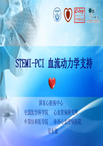 STEMIPCI_血流动力学支持