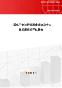 中国电子竞技行业深度调查及十三五发展商机评估报告