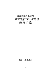 (用)王家岭新井综合制度汇编