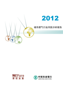 XXXX年城市燃气行业风险分析报告