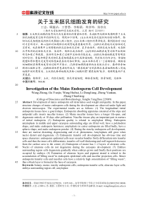 关于玉米胚乳细胞发育的研究-很好-