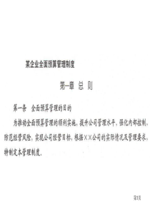 (经典)全面预算管理制度与表格案例_2