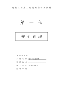 建筑工程施工现场安全管理资料文档 (2)